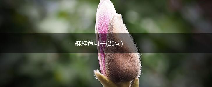 一群群造句子(20句),第1张