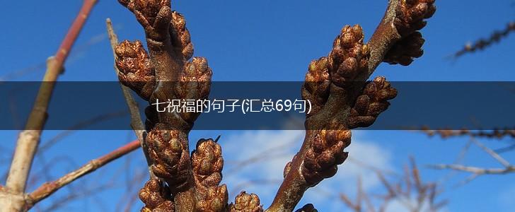 七祝福的句子(汇总69句),第1张