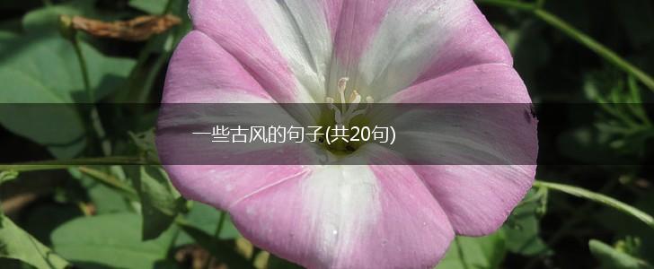 一些古风的句子(共20句),第1张