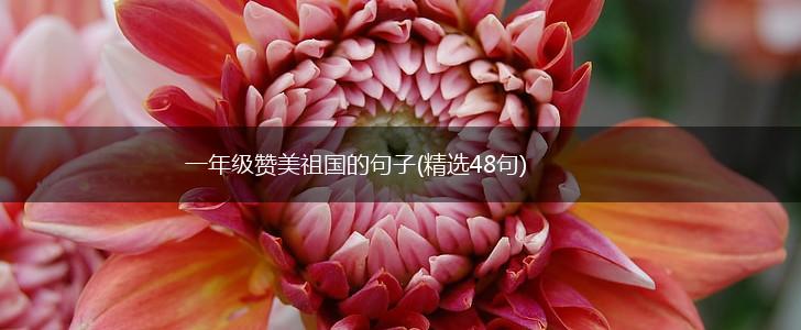 一年级赞美祖国的句子(精选48句),第1张