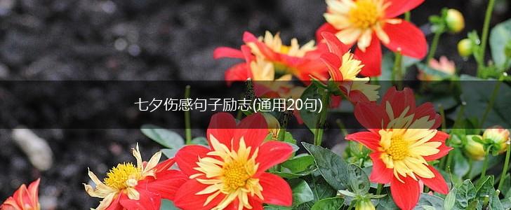 七夕伤感句子励志(通用20句),第1张