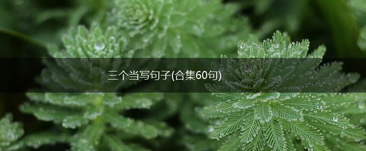 三个当写句子(合集60句),第1张
