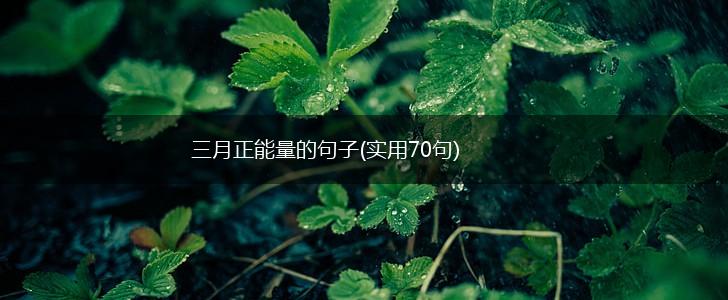 三月正能量的句子(实用70句),第1张