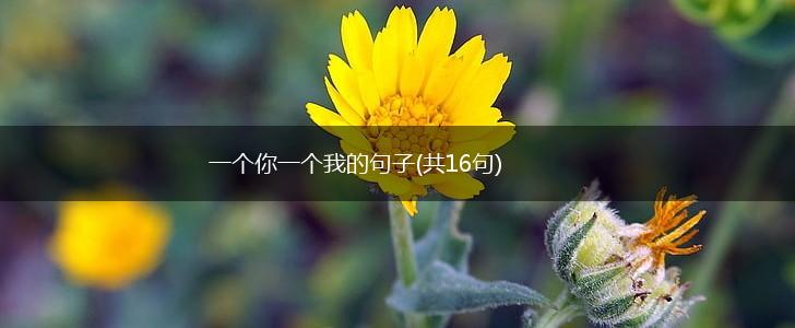 一个你一个我的句子(共16句),第1张