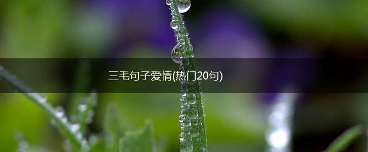 三毛句子爱情(热门20句),第1张