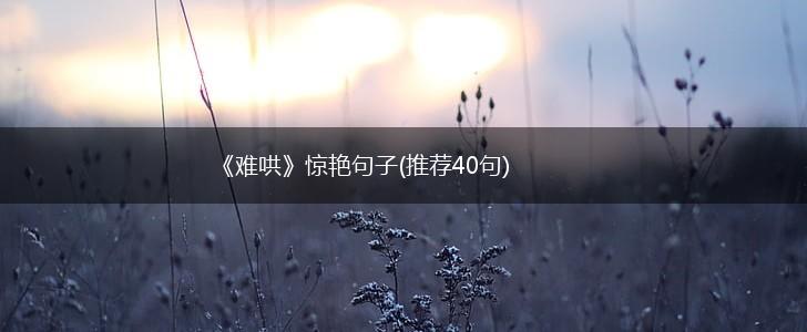 《难哄》惊艳句子(推荐40句),第1张