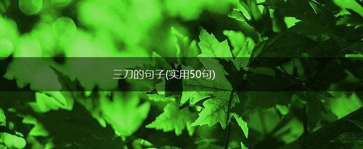 三刀的句子(实用50句),第1张