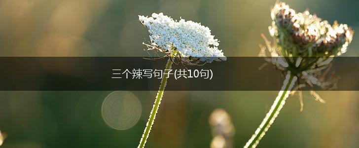 三个辣写句子(共10句),第1张