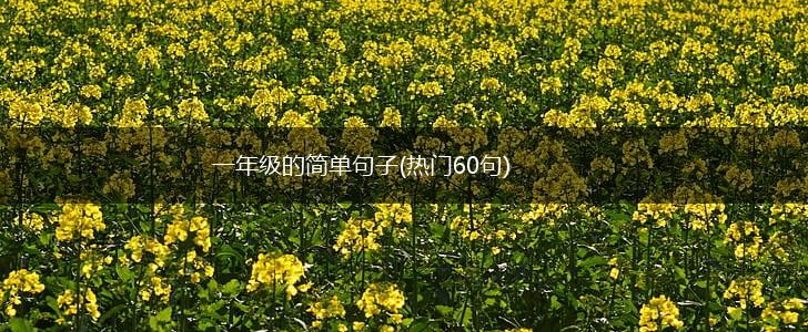 一年级的简单句子(热门60句),第1张