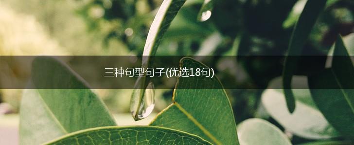 三种句型句子(优选18句),第1张
