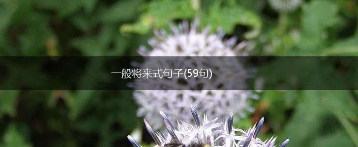 一般将来式句子(59句),第1张