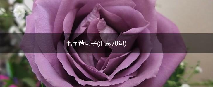 七字造句子(汇总70句),第1张