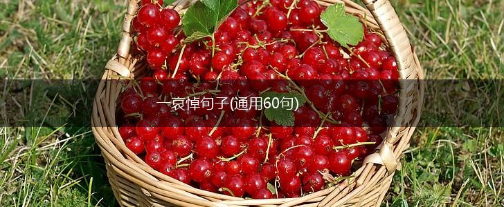 一哀悼句子(通用60句),第1张