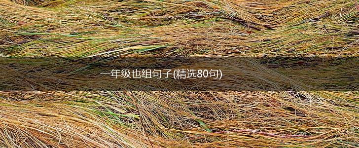 一年级也组句子(精选80句),第1张