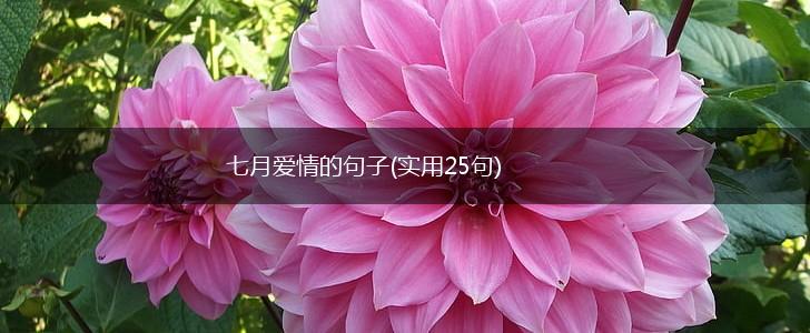 七月爱情的句子(实用25句),第1张