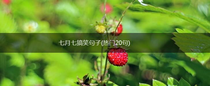 七月七搞笑句子(热门20句),第1张