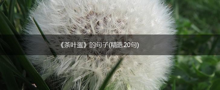 《茶叶蛋》的句子(精选20句),第1张