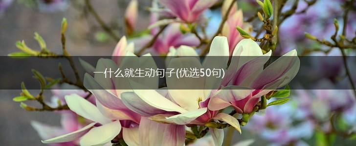 一什么就生动句子(优选50句),第1张