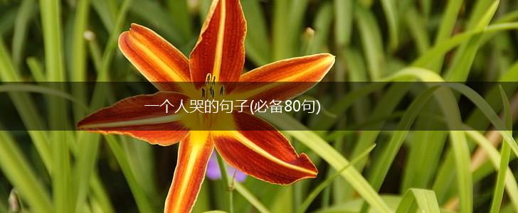 一个人哭的句子(必备80句),第1张