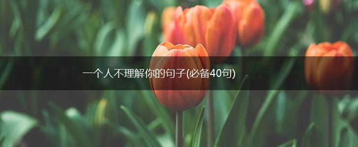一个人不理解你的句子(必备40句),第1张