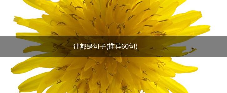 一律都是句子(推荐60句),第1张