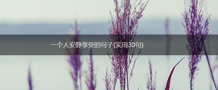 一个人安静享受的句子(实用30句),第1张