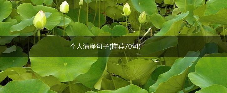 一个人清净句子(推荐70句),第1张