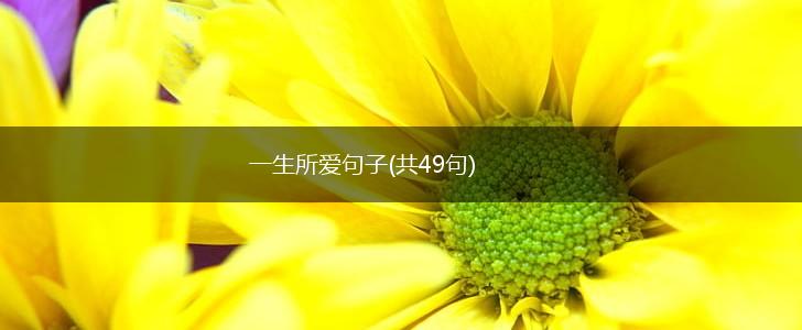 一生所爱句子(共49句),第1张