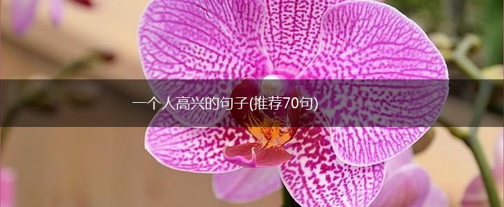一个人高兴的句子(推荐70句),第1张