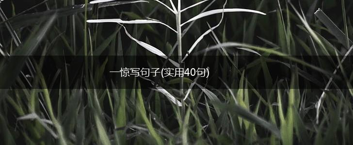 一惊写句子(实用40句),第1张