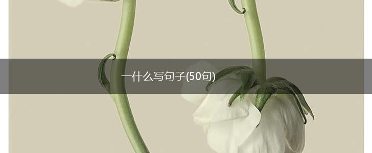 一什么写句子(50句),第1张