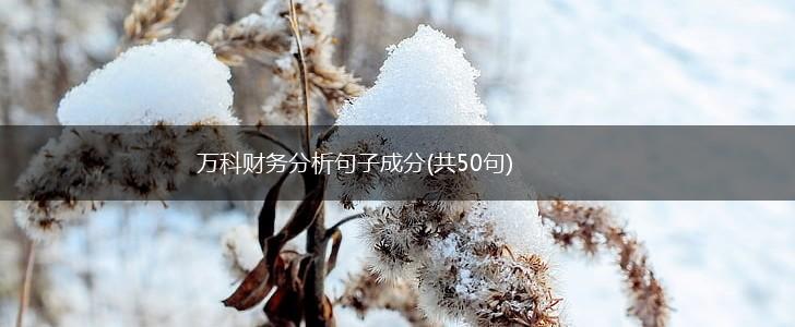 万科财务分析句子成分(共50句),第1张