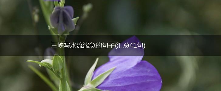 三峡写水流湍急的句子(汇总41句),第1张