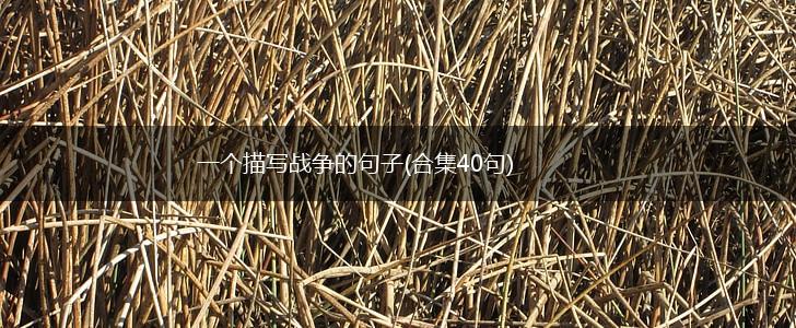 一个描写战争的句子(合集40句),第1张