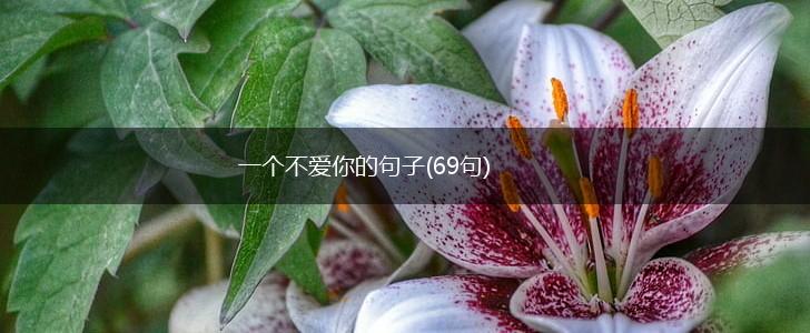 一个不爱你的句子(69句),第1张