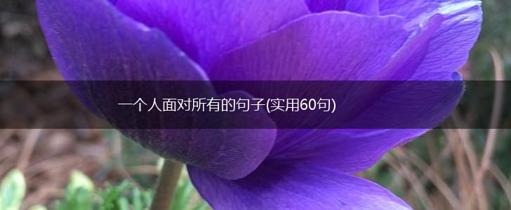 一个人面对所有的句子(实用60句),第1张