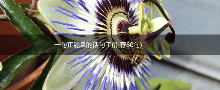 一句正能量的话句子(推荐60句),第1张