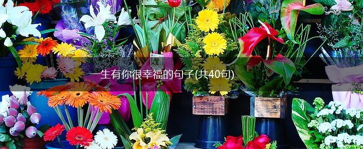 一生有你很幸福的句子(共40句),第1张
