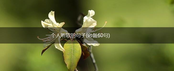 一个人听歌的句子(必备60句),第1张