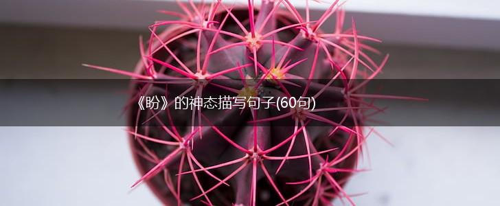 《盼》的神态描写句子(60句),第1张