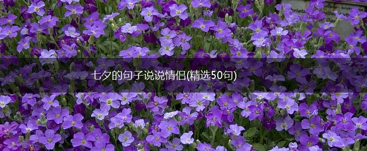七夕的句子说说情侣(精选50句),第1张