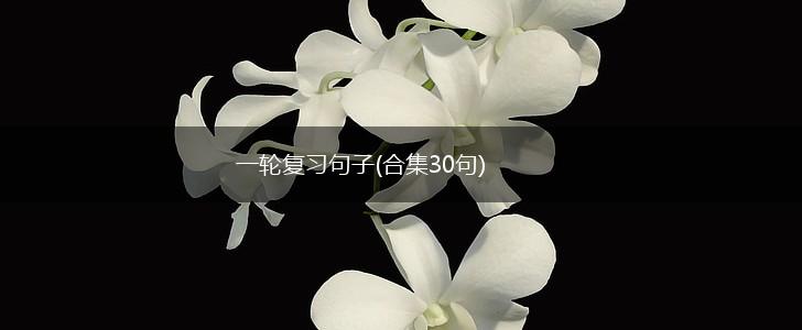一轮复习句子(合集30句),第1张