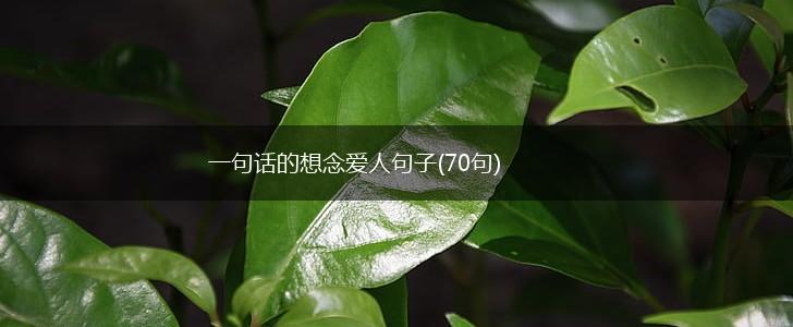 一句话的想念爱人句子(70句),第1张