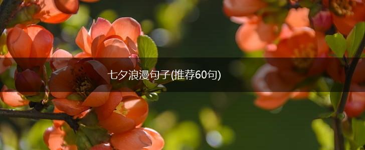 七夕浪漫句子(推荐60句),第1张