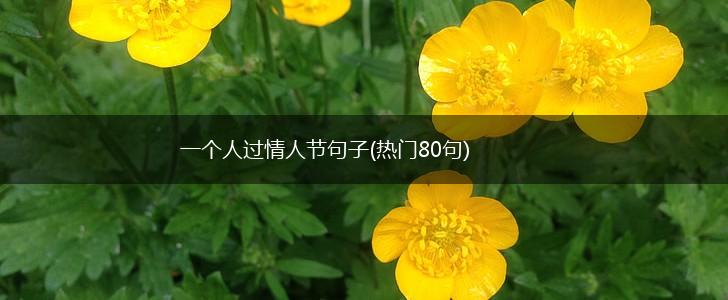 一个人过情人节句子(热门80句),第1张