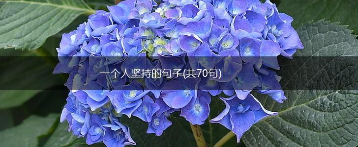 一个人坚持的句子(共70句),第1张