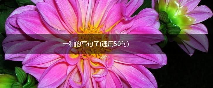 一和的写句子(通用50句),第1张