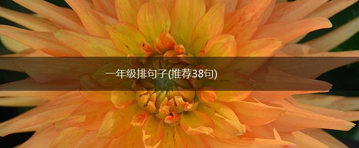 一年级排句子(推荐38句),第1张