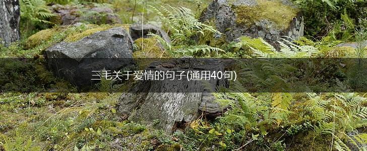 三毛关于爱情的句子(通用40句),第1张