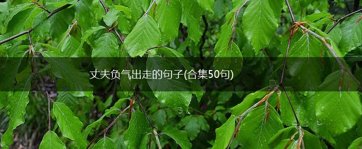 丈夫负气出走的句子(合集50句),第1张